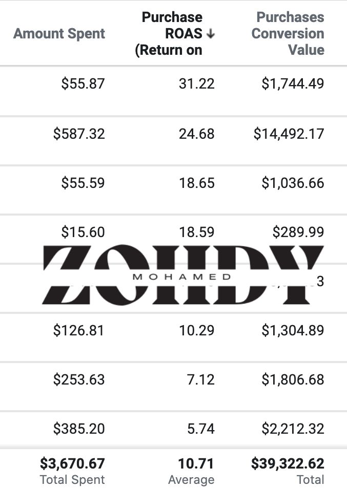 Meta Ads - Actual Result